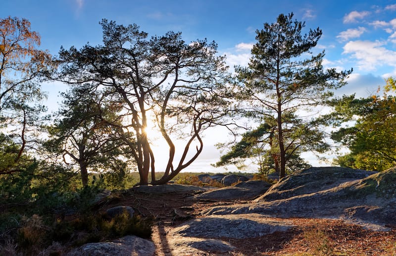 Gâtinais Français Natural Regional Park