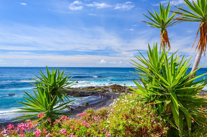 Lush gardens in Puerto de la Cruz