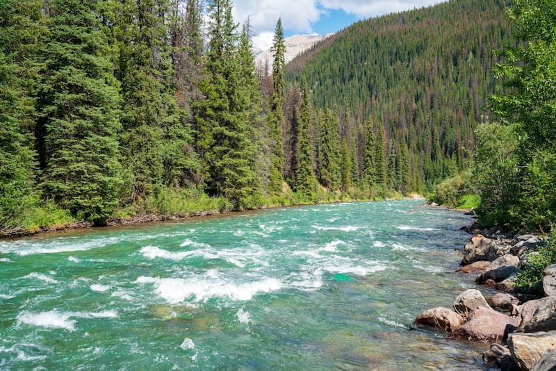 Maligne River