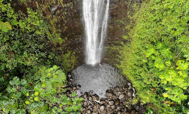 Manoa Falls