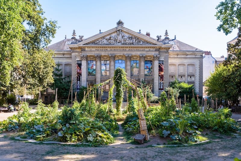 Natural History Museum - orlat - Shutterstock