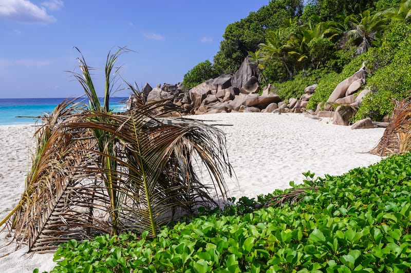 Petite Anse on La Digue