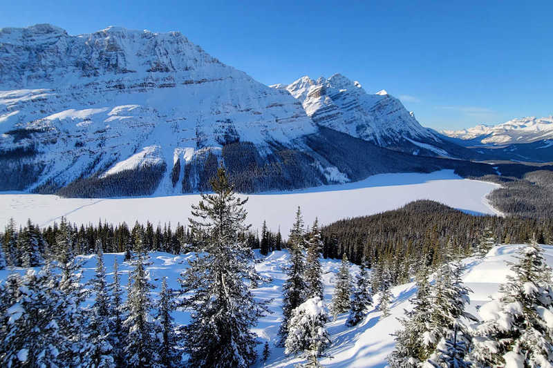 Peyto Lake in winter