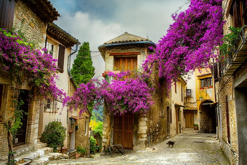 Provence