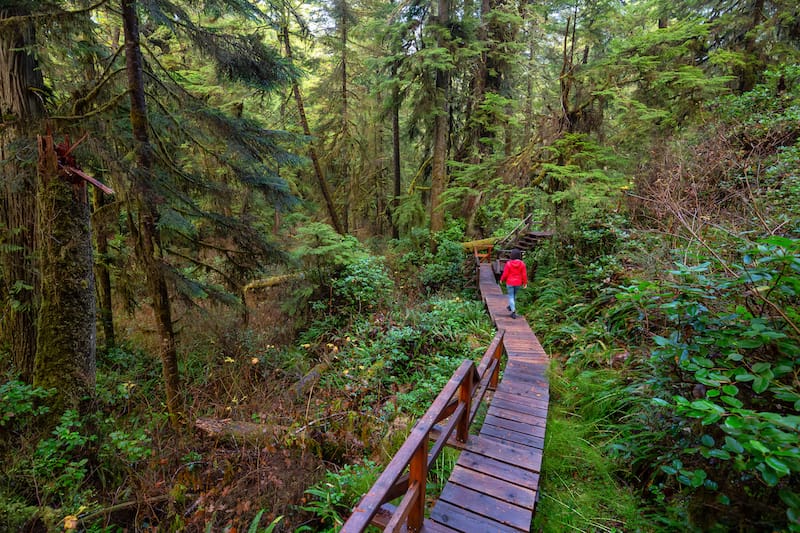 Road trip on Vancouver Island - Rainforest Trail