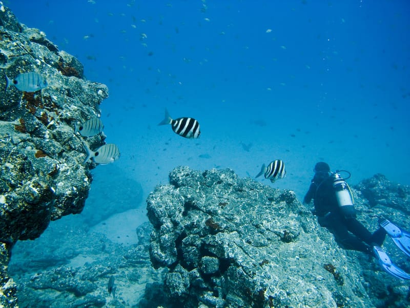 Scuba diving off of Tenerife