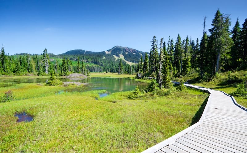 Strathcona Provincial Park