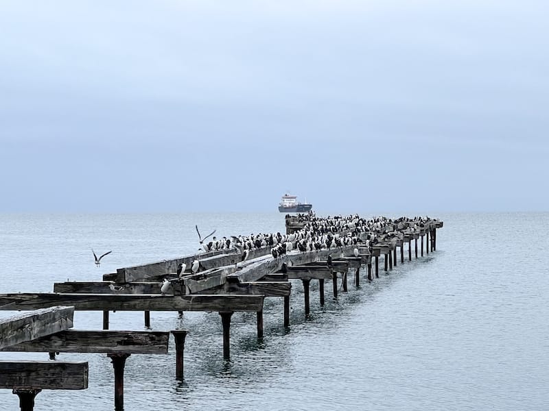 Waterfront views in Punta Arenas