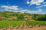 6 Best Lyon Wine Tours & Tastings (Beaujolais & Beyond!)