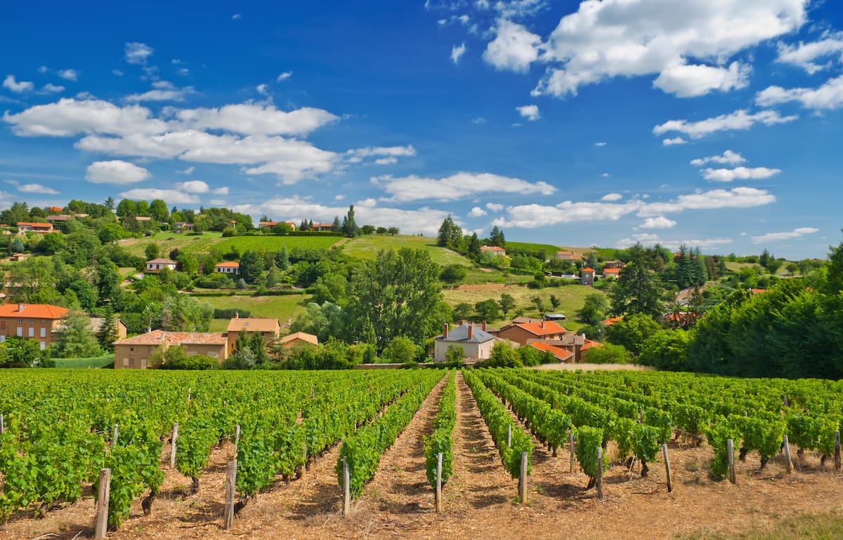 Beaujolais, France in summer