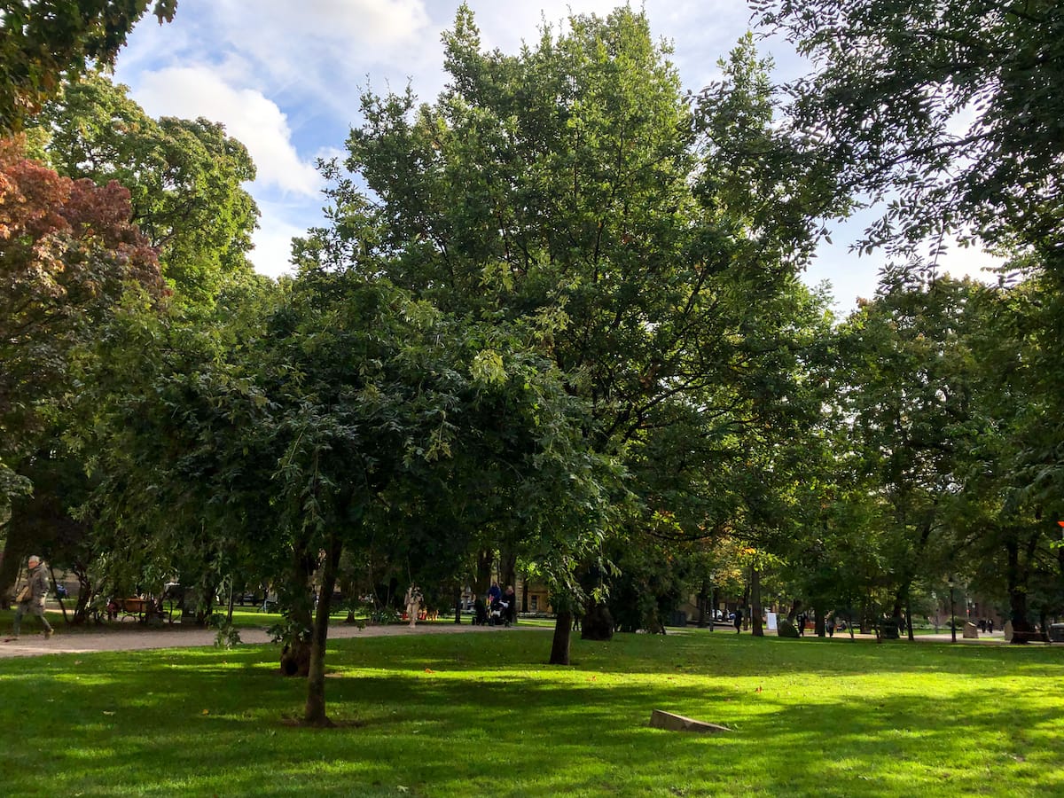 Beautiful green spaces in Helsinki are ubiquitous