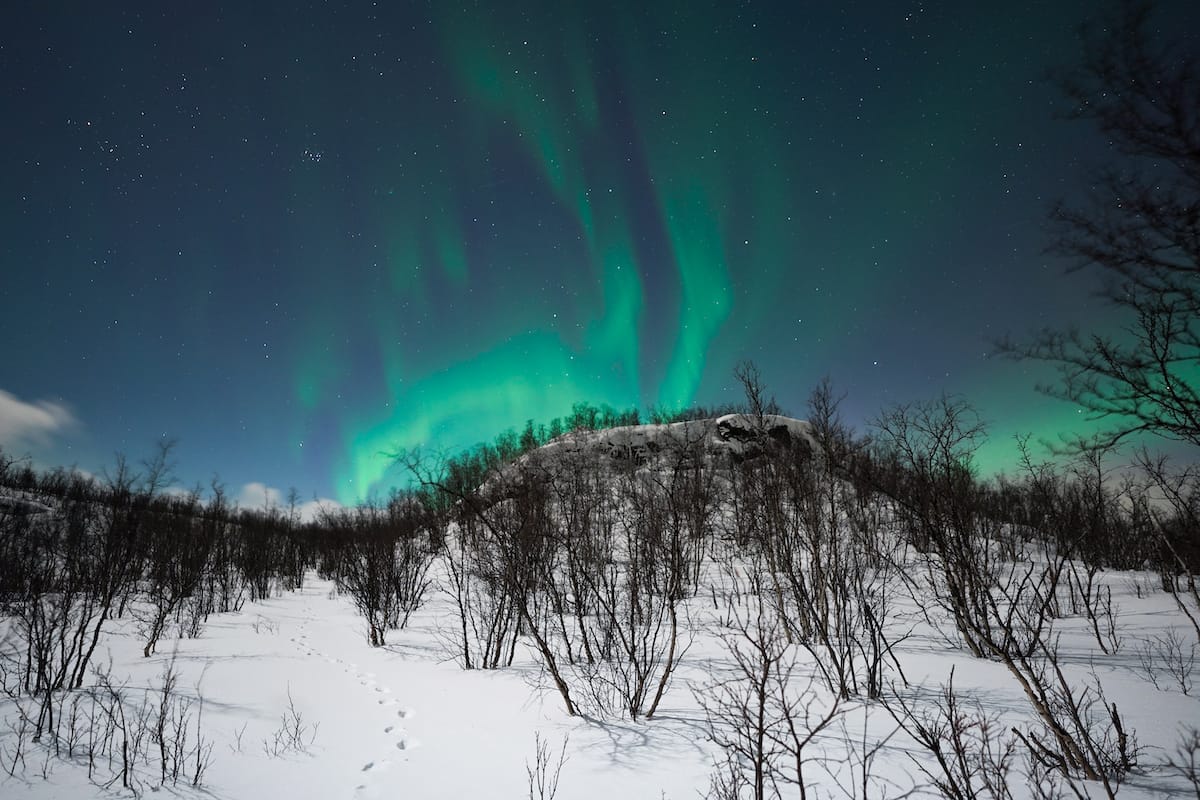 Northern lights on my Abisko snowshoeing tour