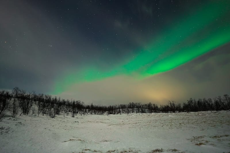 Around a frozen swamp