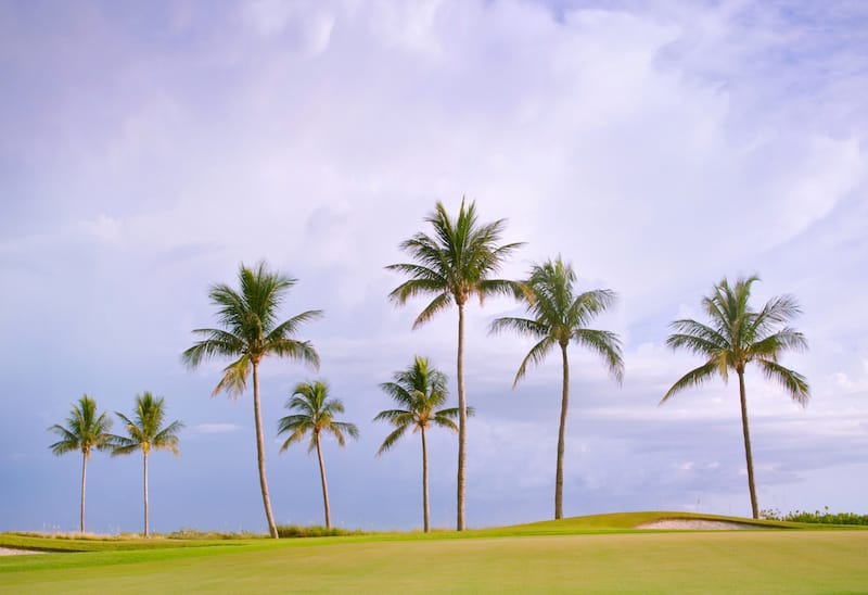 Florida is a great place to head to for golfers!