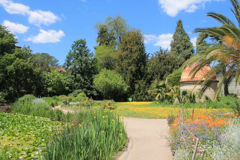 Jardin des Plantes