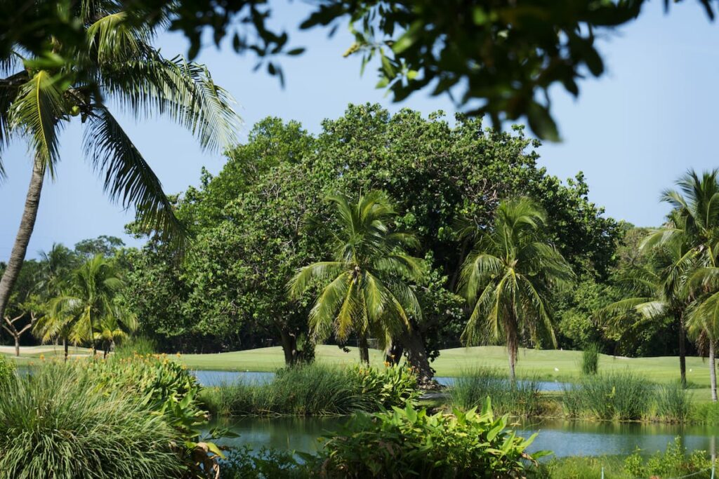 Key West Golf Club is one of the best golf courses in the Florida Keys