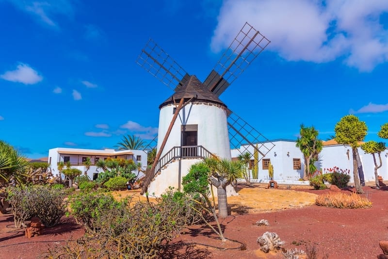 Majorero Cheese Museum