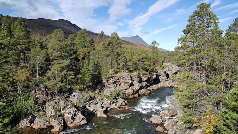 Ovre Dividal National Park in late summer