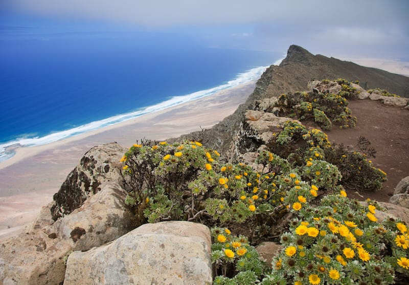 Pico de la Zarza