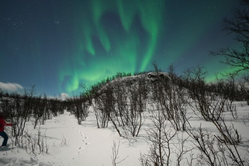 Snowshoeing under the northern lights (Ed's tour)