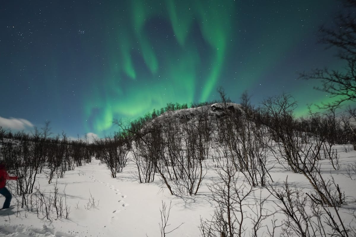 6 Reasons to Visit Sweden in Winter, Travel Blog