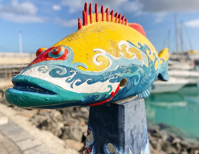 Around the port of Corralejo