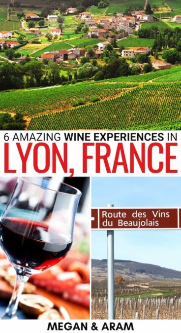 Looking for the best Lyon wine tours and tastings? We discuss the best Beaujolais and Rhone Valley wine tours from Lyon, as well as wine tastings in the city! | Rhone Valley wine tours | Things to do in Lyon | What to do in Lyon | Best Lyon tours | Lyon wine trips | Wine experiences Lyon | Wine tastings in Lyon | Wine tours from Lyon | Wine and Cheese France | Lyon Wine