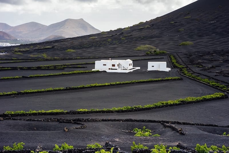 Winery on Lanzarote