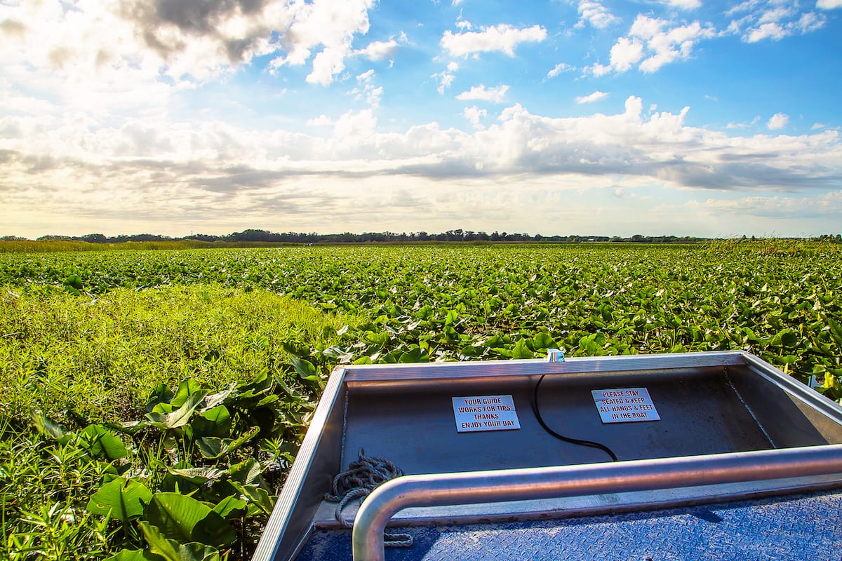 Airboating is one of the top Kissimmee activities!