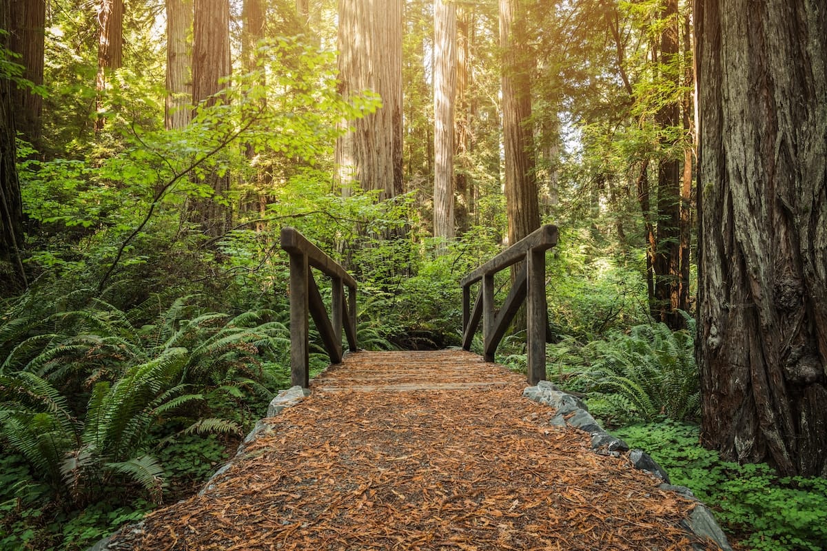 Best places to visit in Northern California