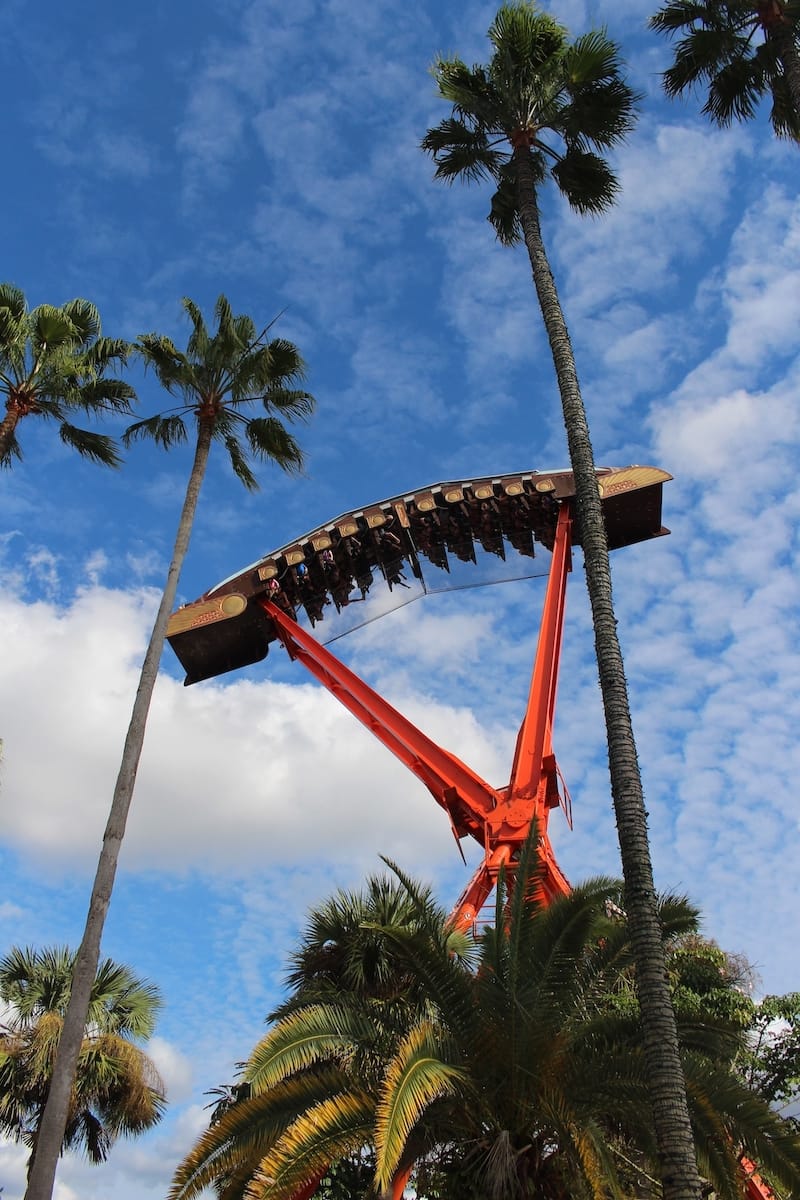 Busch Gardens Tampa