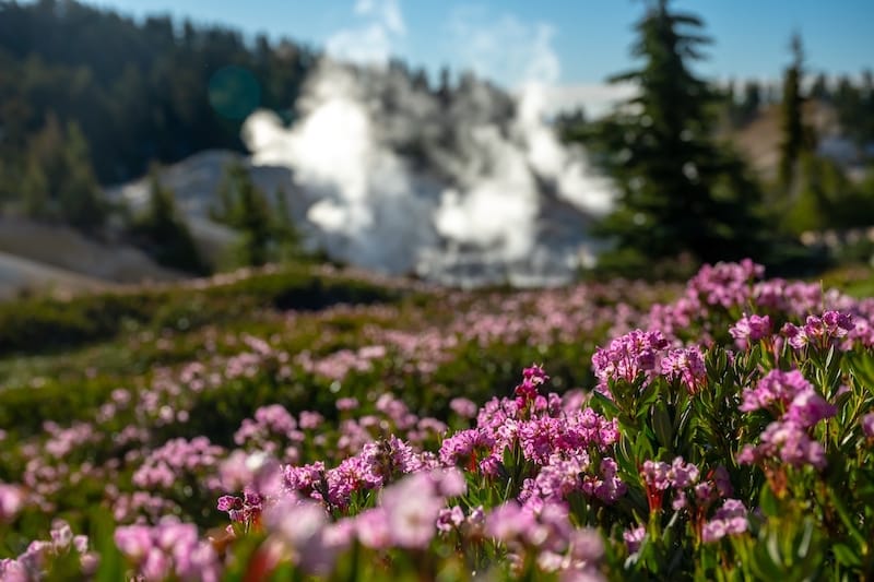 Lassen Volcanic