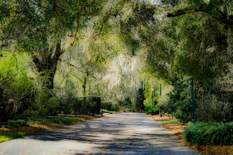 Leu Gardens in Orlando