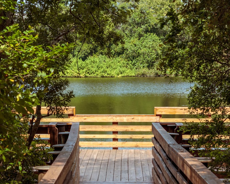 Moccasin Lake Nature Park