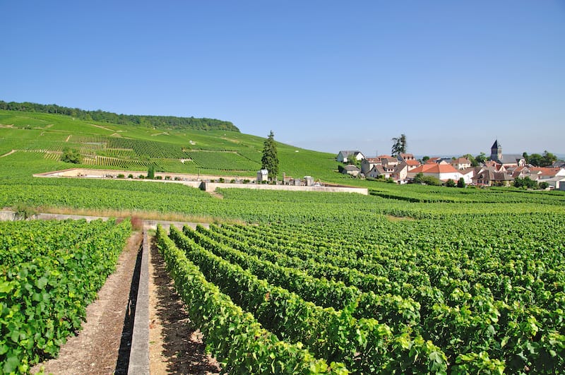 Oger in Champagne-Ardenne near Epernay