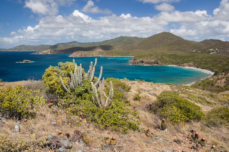 Beaches below the trail