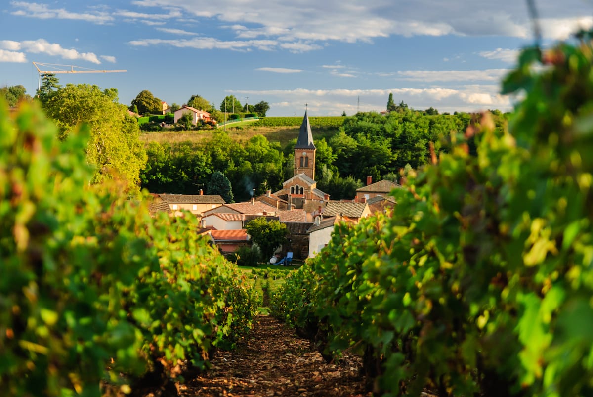 Beaujolais Wine Country
