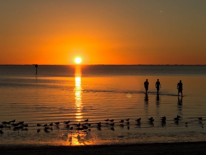 Ben T. Davis Beach