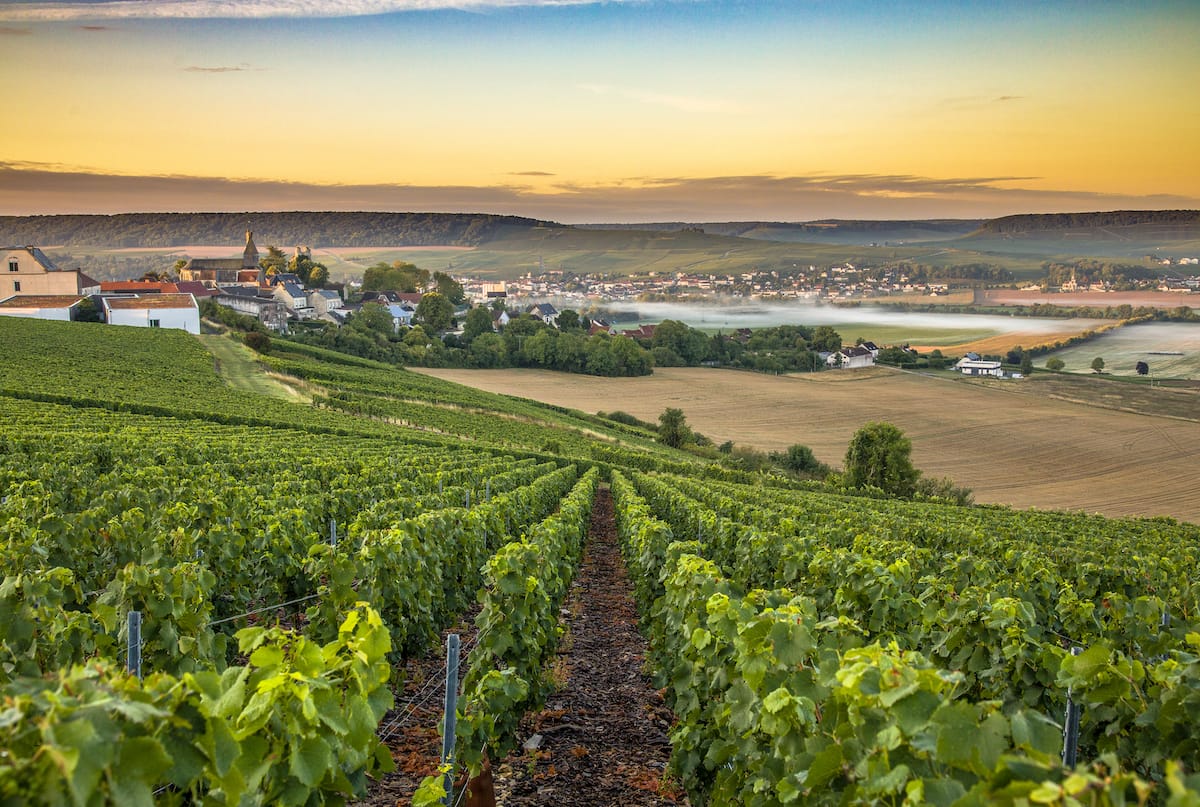 champagne region tourism