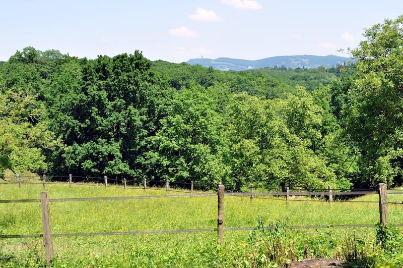 Domaine de Lacroix-Laval