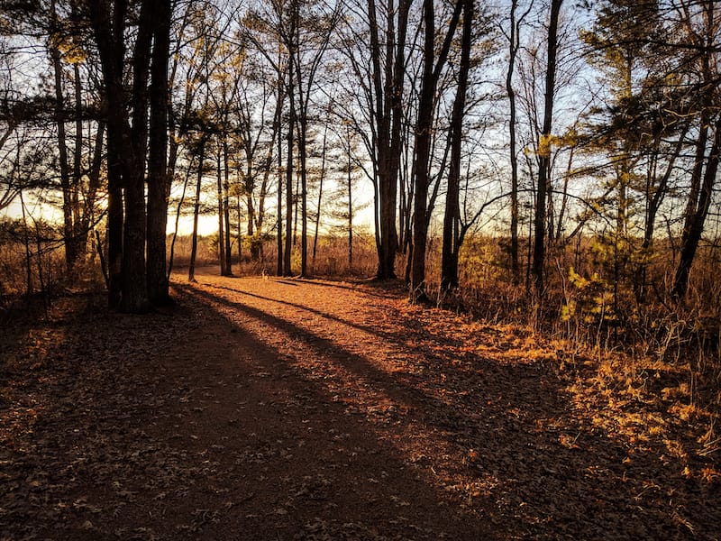 Green Circle Trail in Stevens Point