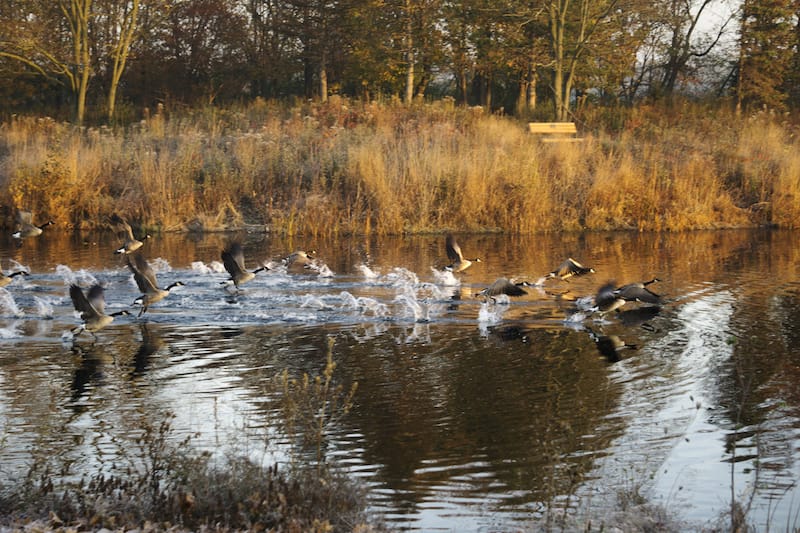 Lake Katherine