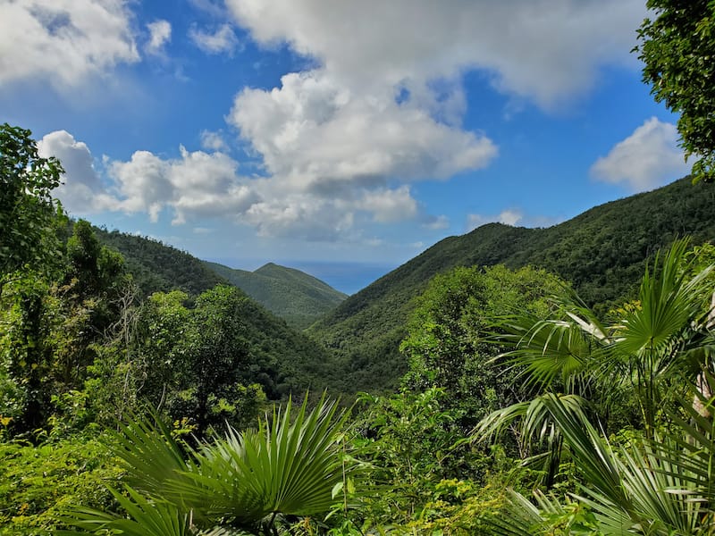 Reef Bay Trail