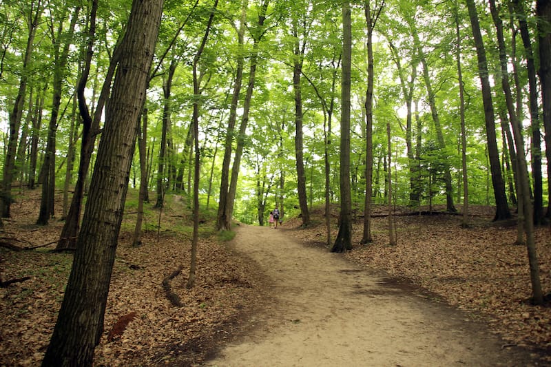 Thorne Swift Nature Preserve