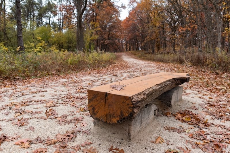 Trail in Illinois