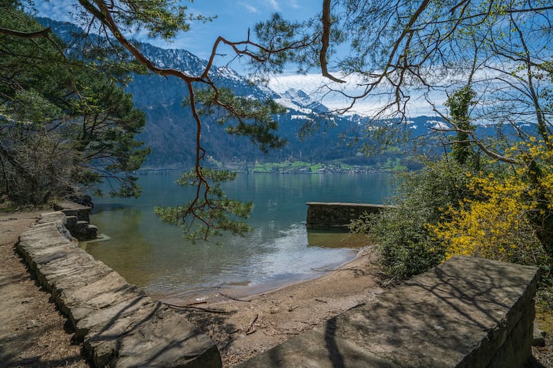 Weissenau Nature Reserve