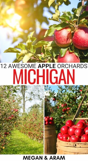Are you looking for the best apple orchards in Michigan? We have you covered! These are the top places for apple picking in Michigan, including farm info! | Apples in Michigan | Michigan apple picking | Michigan apple orchards | Where to pick apples in Michigan | Michigan bucket list | Michigan in fall | Fall in Michigan | What to do in Michigan during fall | Michigan in autumn | Michigan fruit farms 