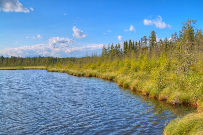 Bemidji