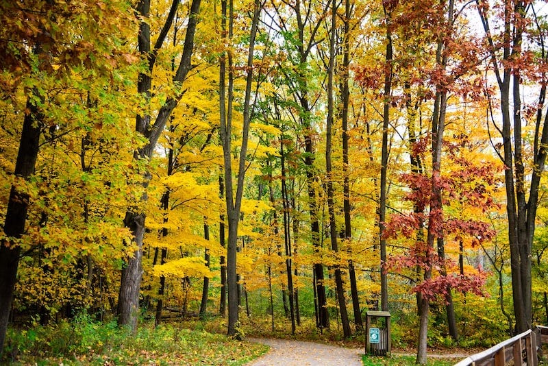 Chipp-A-Waters Park in Mount Pleasant - MPatino Photography - Shutterstock