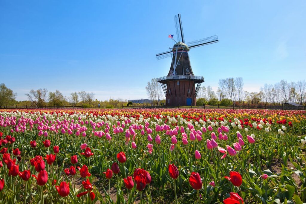 Best day trips from Chicago - Holland